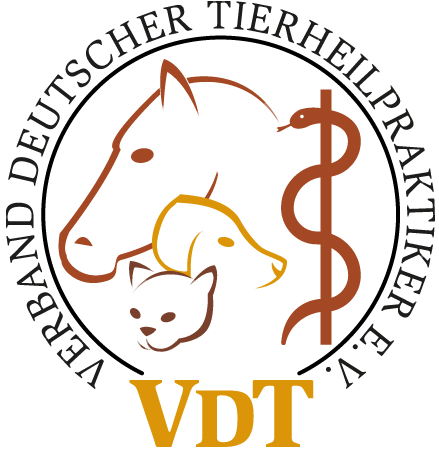 logo vdt